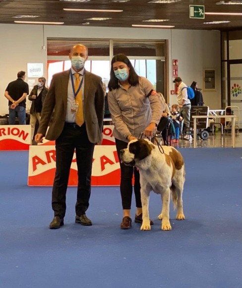 XXXIV Exposicion nacional e internacional canina de Málaga - WINNER