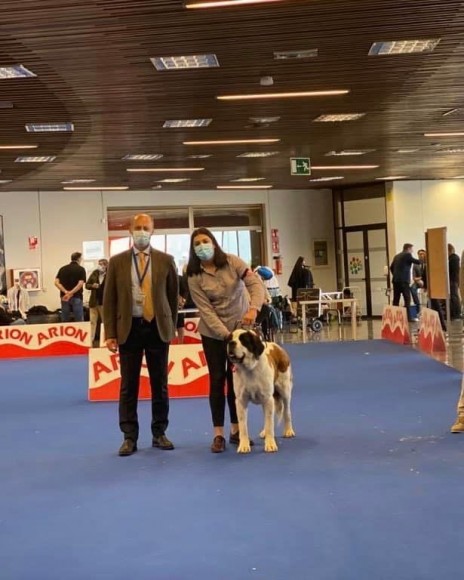 XXXIV Exposicion nacional e internacional canina de Málaga - WINNER