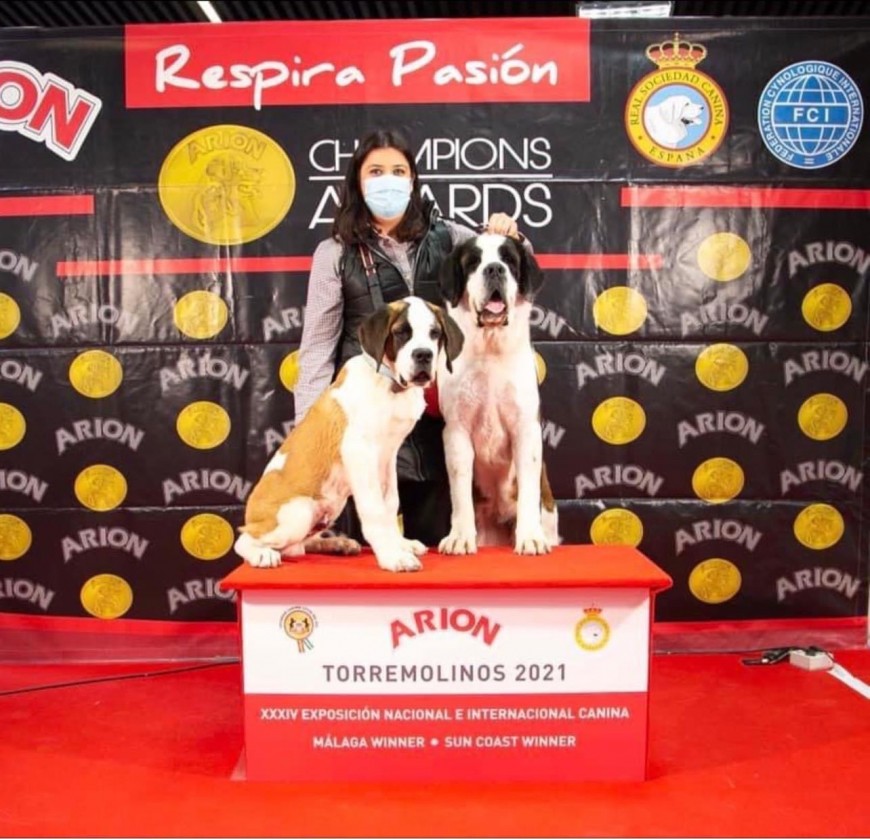 XXXIV Exposicion nacional e internacional canina de Málaga - WINNER