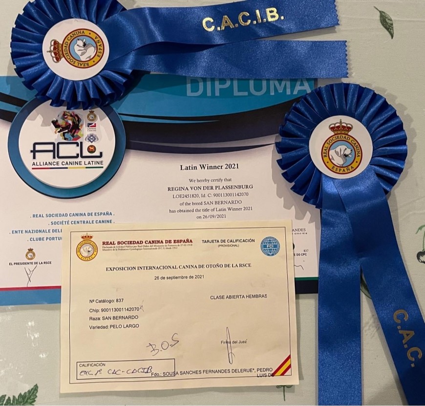 Exposición Internacional Canina de Otoño (Madrid)