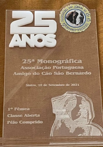 25 Monográfica Asociación Portuguesa Amigo do Cão São Bernardo (Sintra)