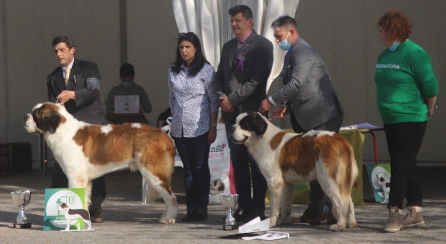 5ª E.C. NACIONAL DO ALTO MINHO