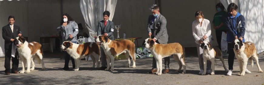 5ª E.C. NACIONAL DO ALTO MINHO