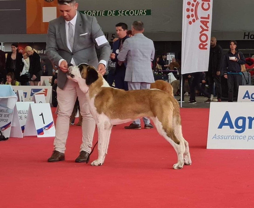 Championnat De France 2022