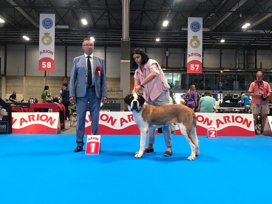 WORLD DOG SHOW 