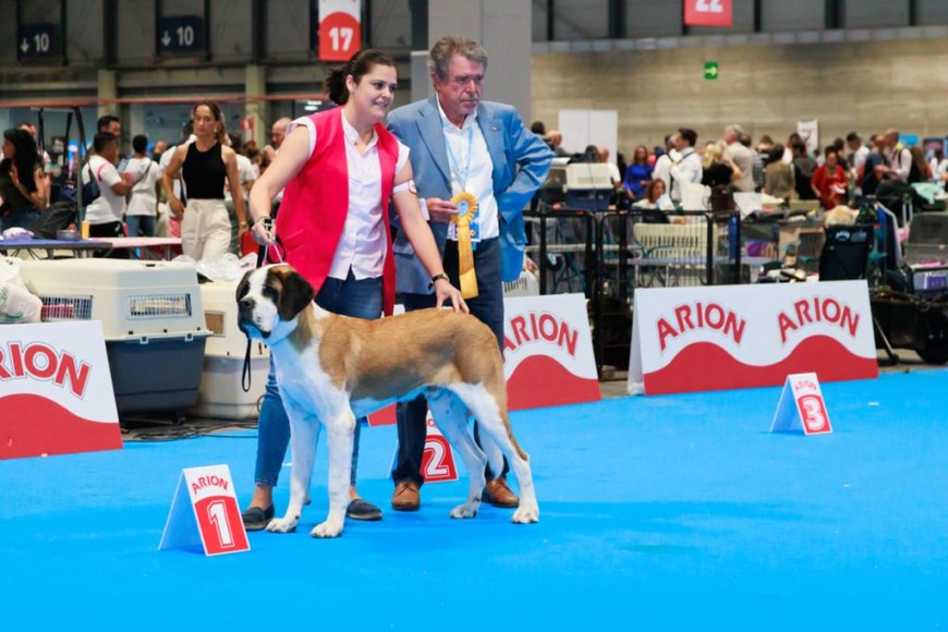 WORLD DOG SHOW 