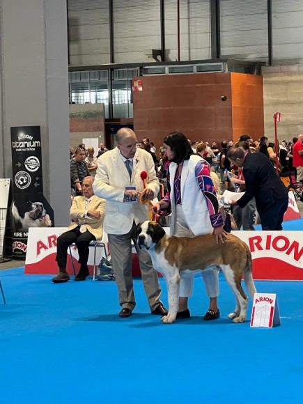WORLD DOG SHOW 