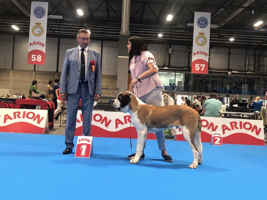 WORLD DOG SHOW 