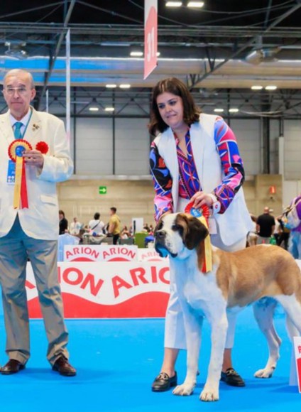 WORLD DOG SHOW 