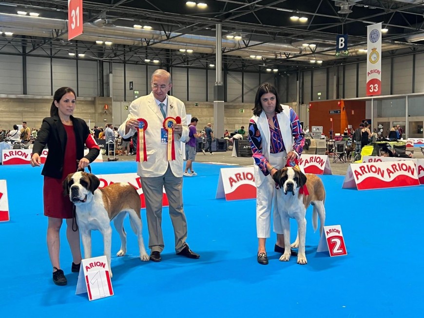 WORLD DOG SHOW 