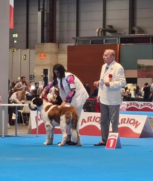 EXPOSICIÓN MUNDIAL DE MADRID 2022: REGINA VON DER PLASSENBURG SE PROCLAMA CAMPEONA DEL MUNDO