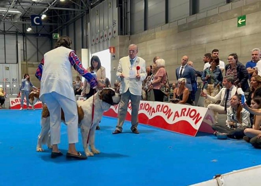 EXPOSICIÓN MUNDIAL DE MADRID 2022: REGINA VON DER PLASSENBURG SE PROCLAMA CAMPEONA DEL MUNDO