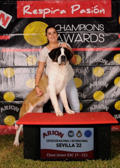 EXPOSiÓN NACIONAL E INTERNACIONAL CANINA DE SEVILLA 2022: AURA PASTOR DE ORELLANA