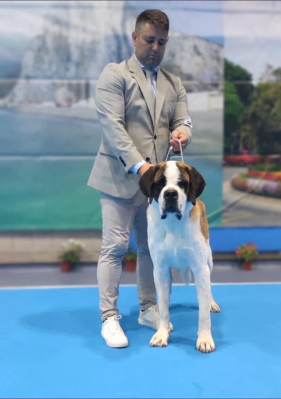 52, 53 GIBRALTAR INTERNACION AL DOG SHOW 2022