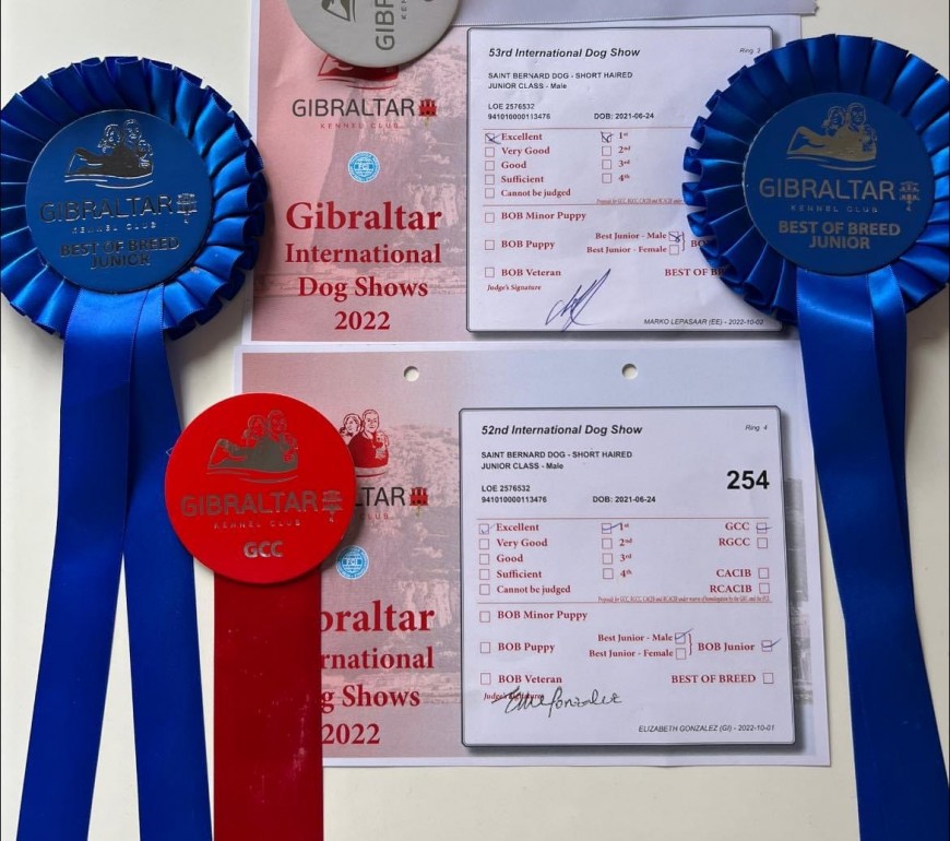 52, 53 GIBRALTAR INTERNACION AL DOG SHOW 2022