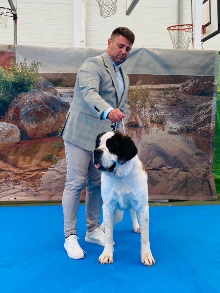 52, 53 GIBRALTAR INTERNACION AL DOG SHOW 2022
