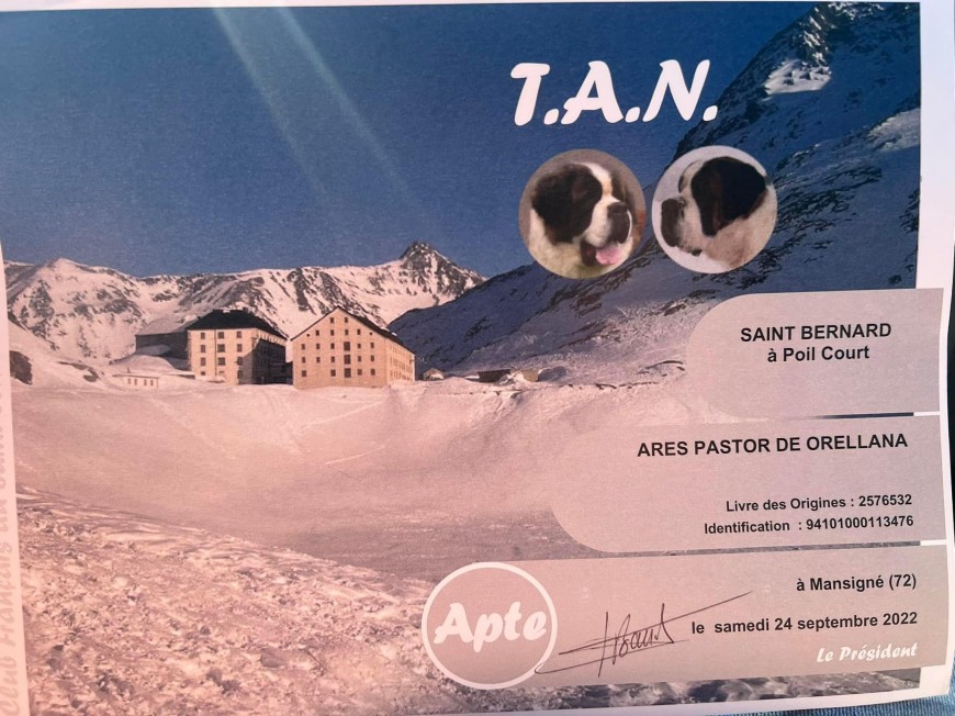 EXPOSICIÓN 47 NACIONAL D’ELEVAGE 2022 ( Mansigne ) Francia