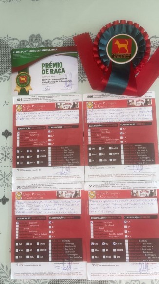 138ª E.C Internacional do Clube Portugués de Canicultura ( Punto Obligatorio) + 139ª Internacional do clube Portugués ( CPc Winner 2022)  SANTAREM