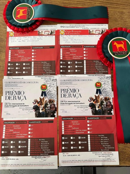 138ª E.C Internacional do Clube Portugués de Canicultura ( Punto Obligatorio) + 139ª Internacional do clube Portugués ( CPc Winner 2022)  SANTAREM